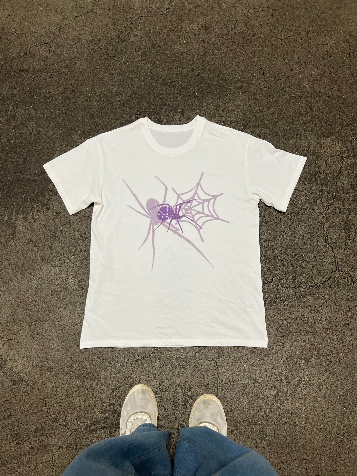 Oversized Webstate Spider Tee